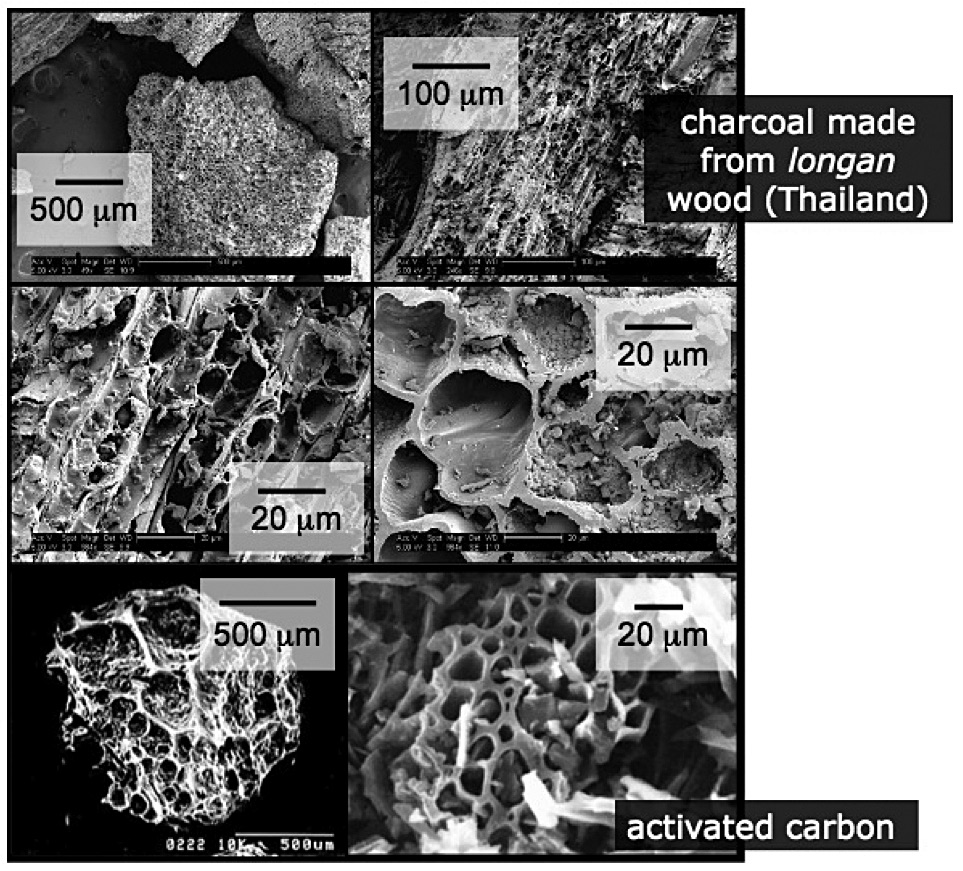 Figure 1. Scanning electron microscope (SEM) images of longan charcoal and commercial activated carbon showing morphological similarities. (Charcoal SEM images courtesy of Carl Saquing, North Carolina State University.)