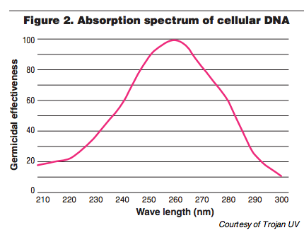 fig2-absorption-spectrum
