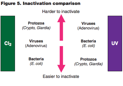 fig5-inactivation-comparison