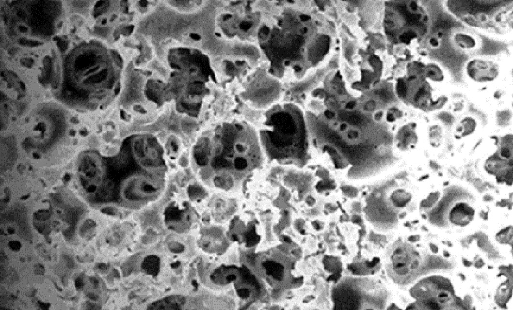 Figure 2. Representation of bead matrix