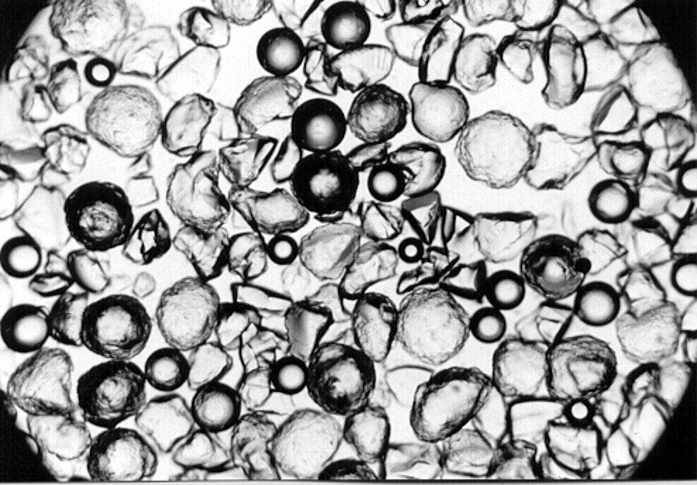 Figure 5. Chlorine degradation