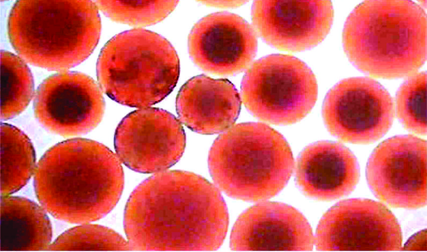 Figure 7. Fish-eye effect