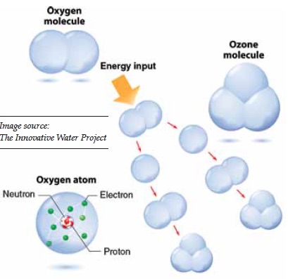 wcp_Reyneke1_Aug2015