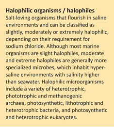 V57_N10_Reyneke Sidebar