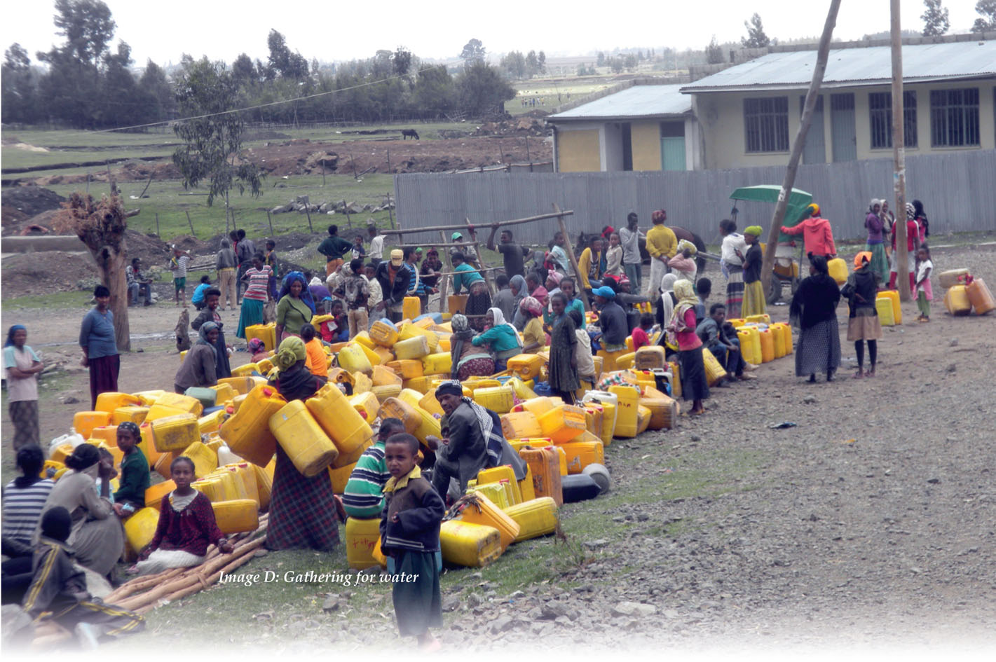 Dec2015_Melancon header photo