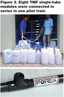 March2016_Yang_Figure 2