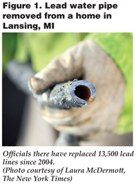 March2016_Martin_Figure 1