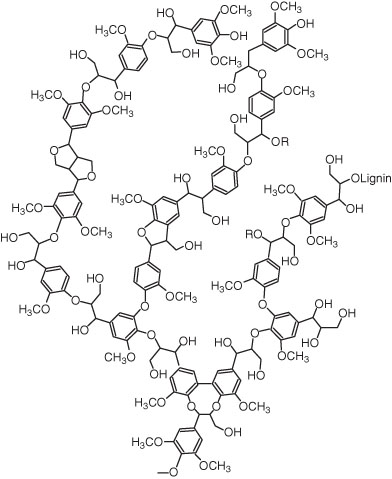 Figure 1. Molecular structure of lignin