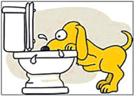 Ten million dogs can’t be wrong(4)