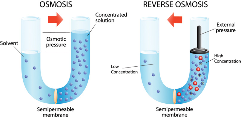 Osmosis and Reverse Osmosis